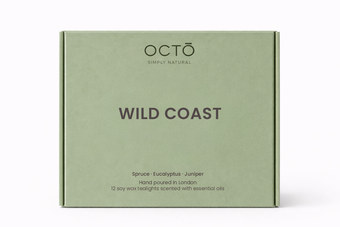 Bougies chauffe-plat | Boîte de 12 pièces