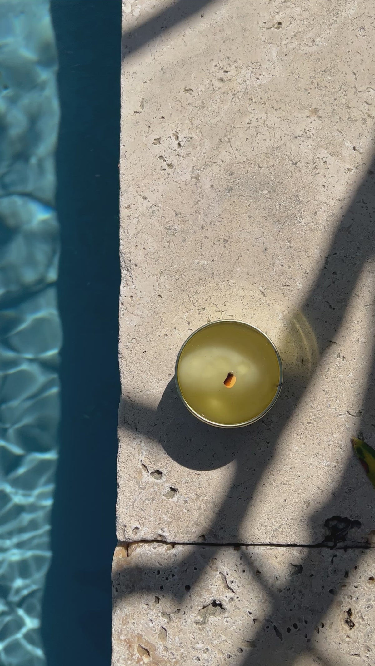 Citronnelle | Bougie d&