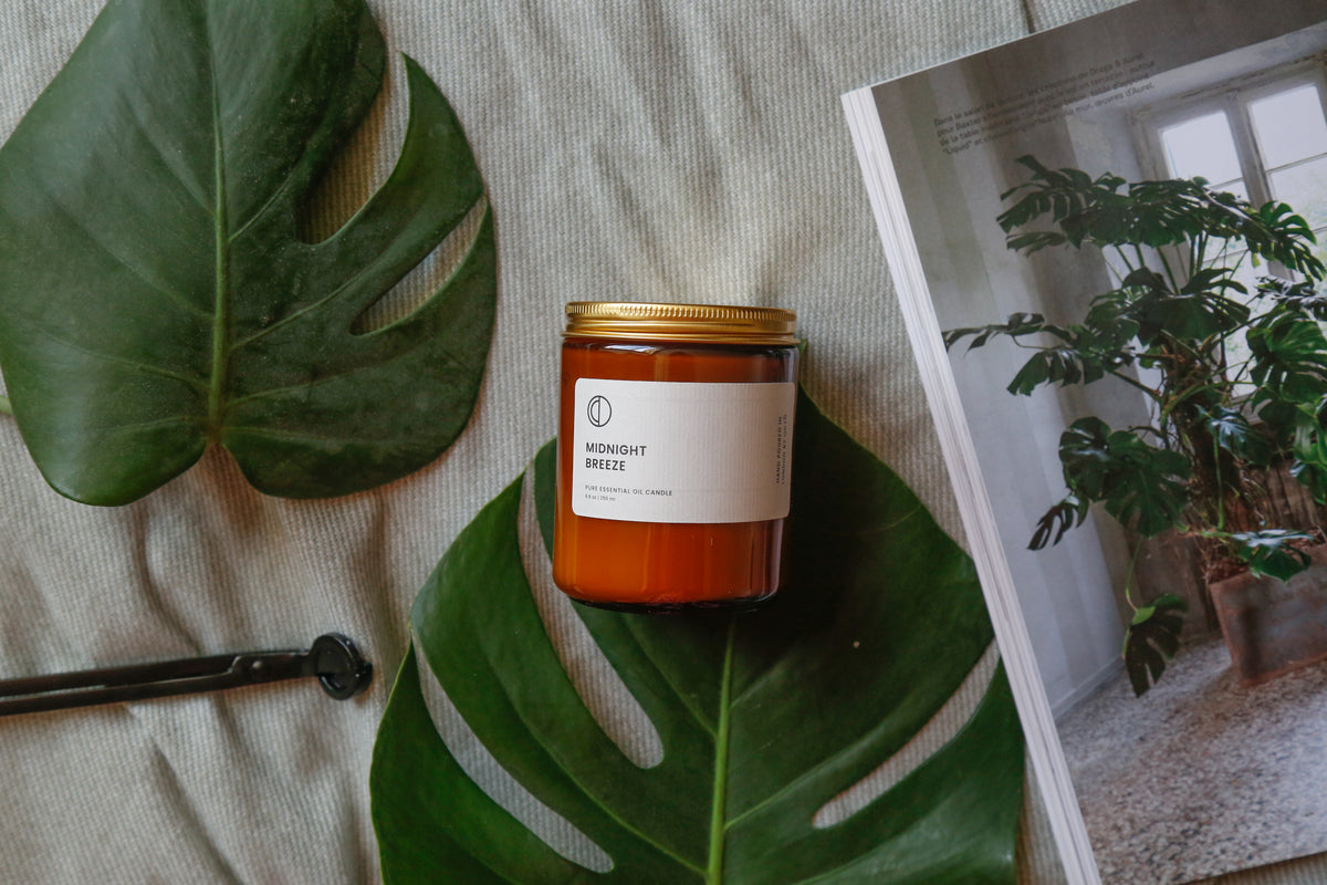 Brise de Minuit (Géranium rosat + Vétiver + Patchouli) | Bougie en pot ambré